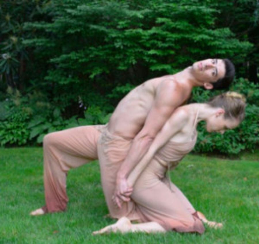 Amanda Selwyn Dance Theatre to Present Interactive Installation GREEN AFTERNOON V Image