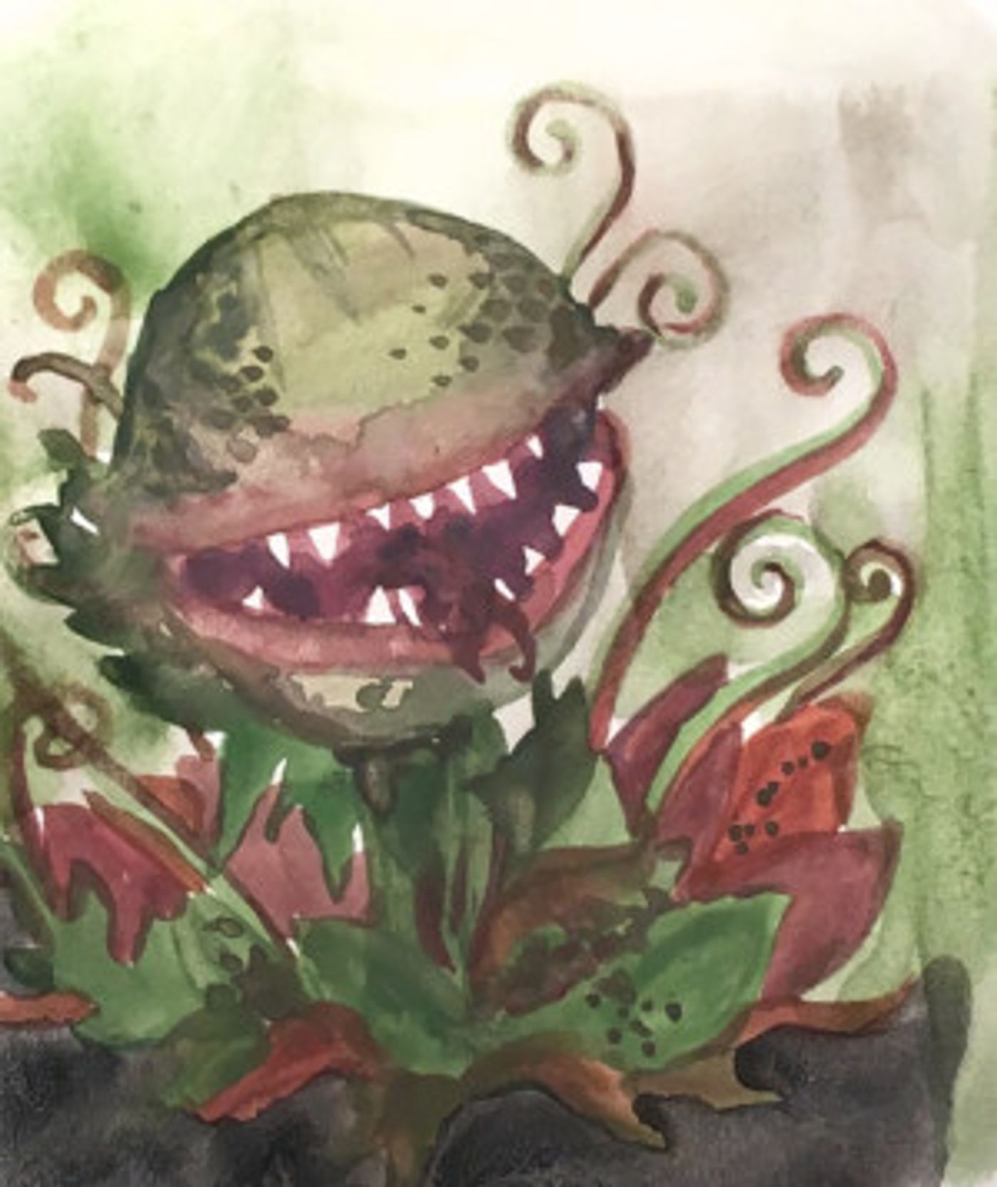 Cape Cod Theatre Company to Present LITTLE SHOP OF HORRORS  Image
