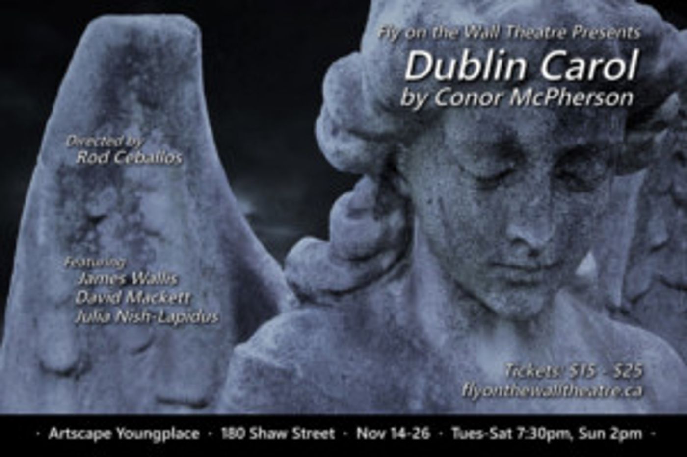 Fly on the Wall Theatre Presents the Toronto Premiere of DUBLIN CAROL by Conor McPherson  Image