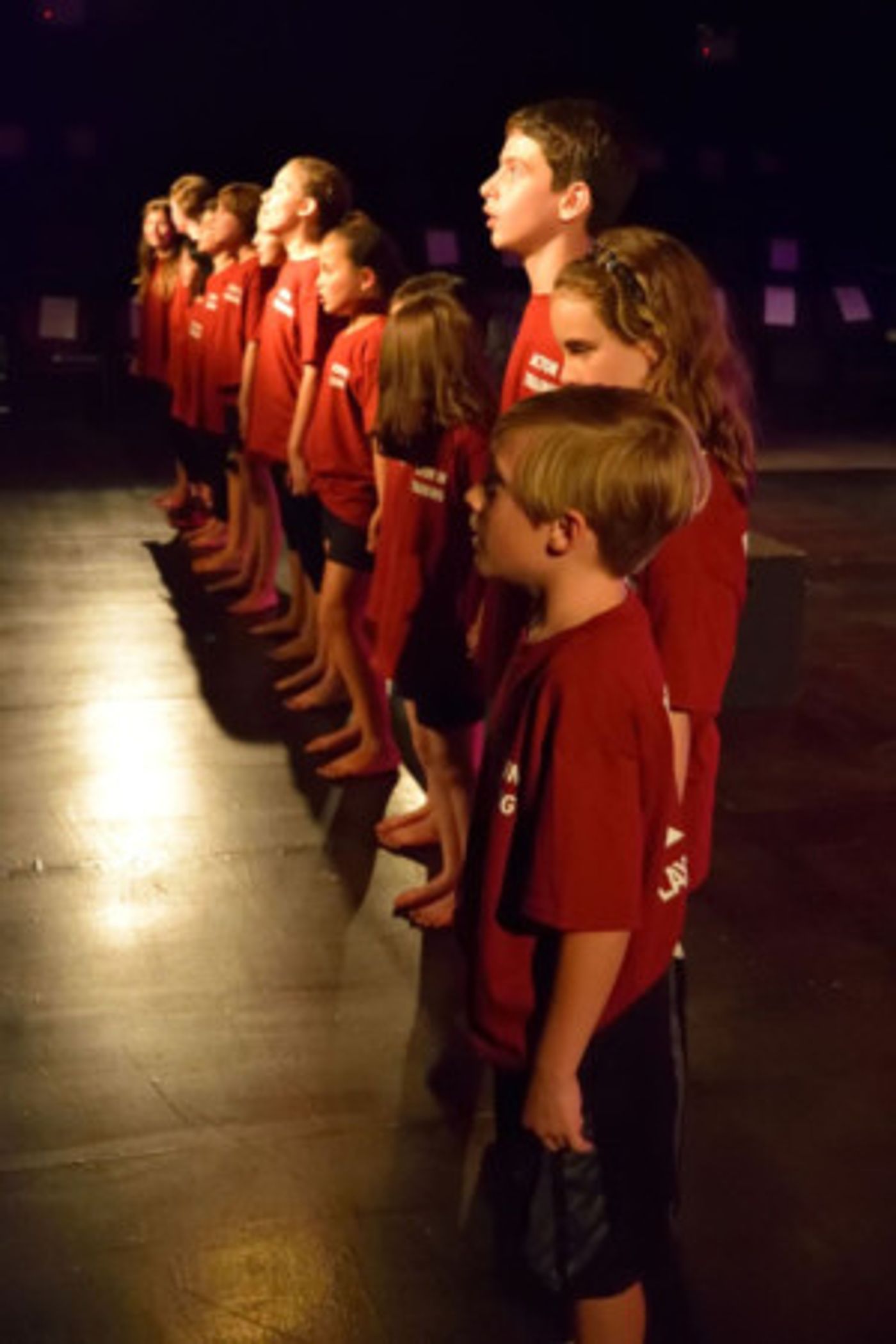 Announcing 2017-2018 Young Actor Education Program at Playhouse on Park! Image