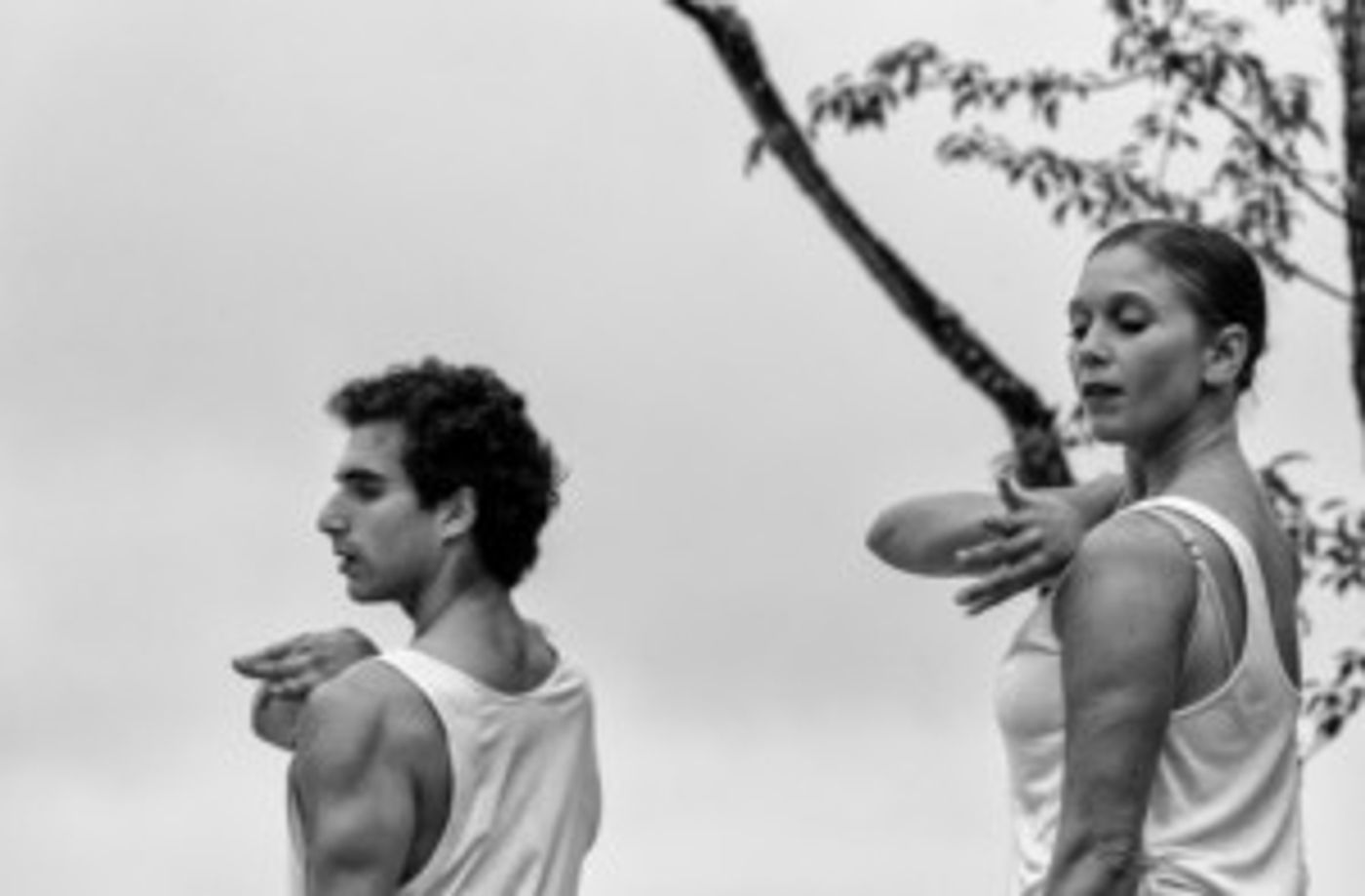 Voelker Orth Museum to Present Valerie Green/Dance Entropy in IMPERMANENT LANDSCAPE  Image