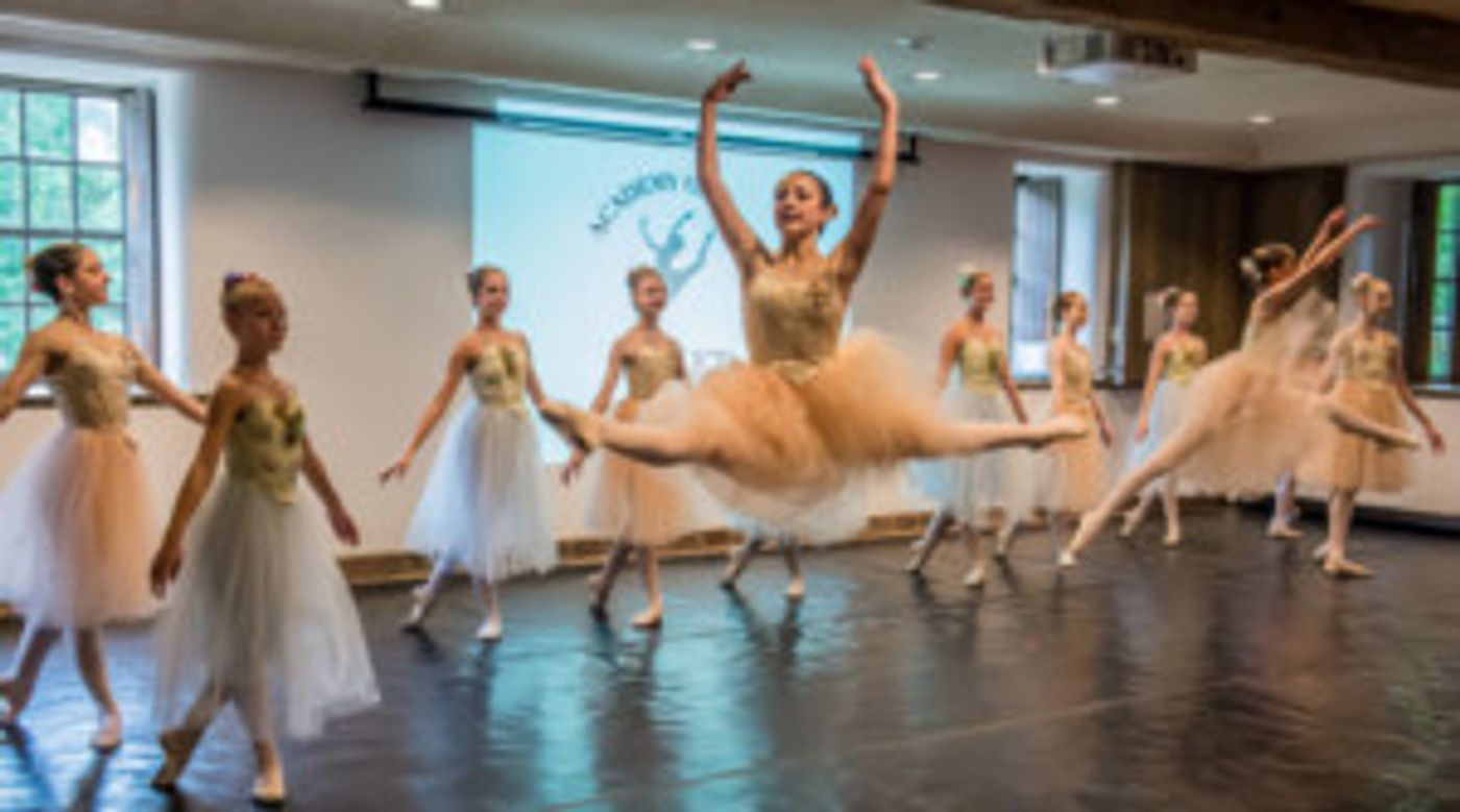 Academy of International Ballet Performs At The Brandywine River Museum of Art Image