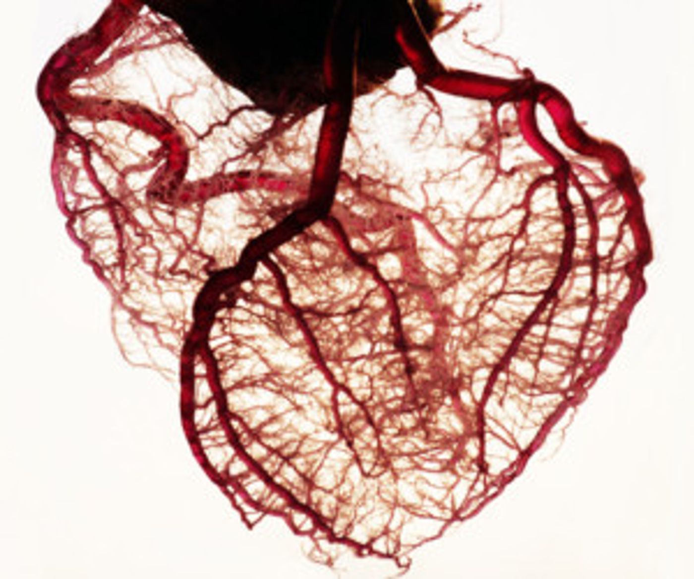 Arrows & Traps Theatre Presents FRANKENSTEIN this September  Image