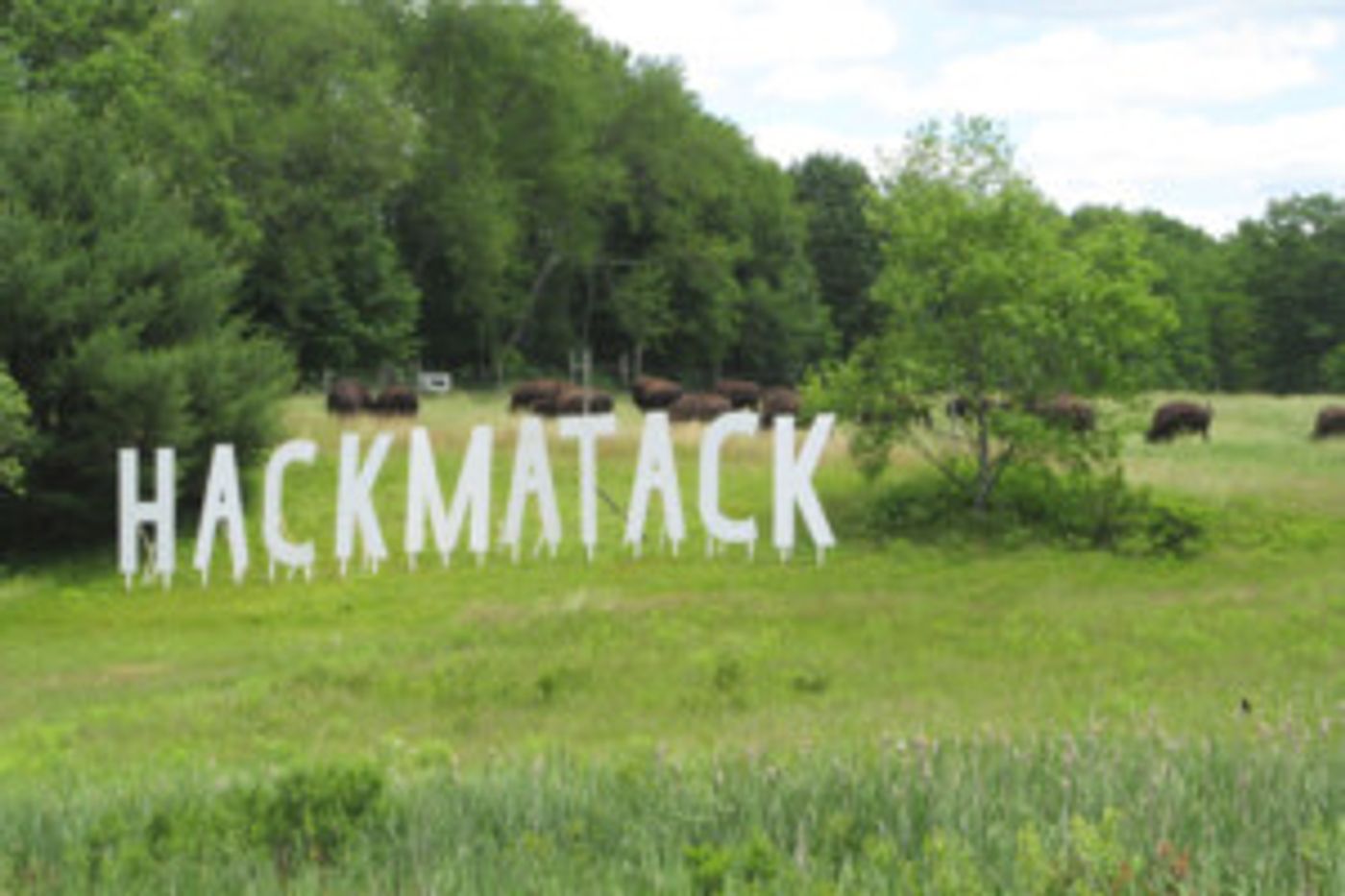 Huge 'Hackmatack' Sign in Berwick Celebrates 45 Years of Theater  Image