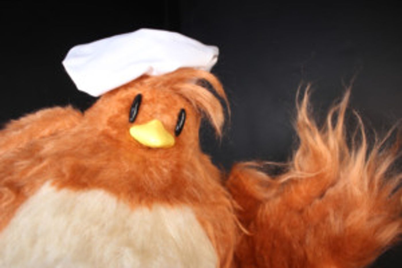 The Ballard Institute and Museum of Puppetry to Present 100 BIRDS  Image