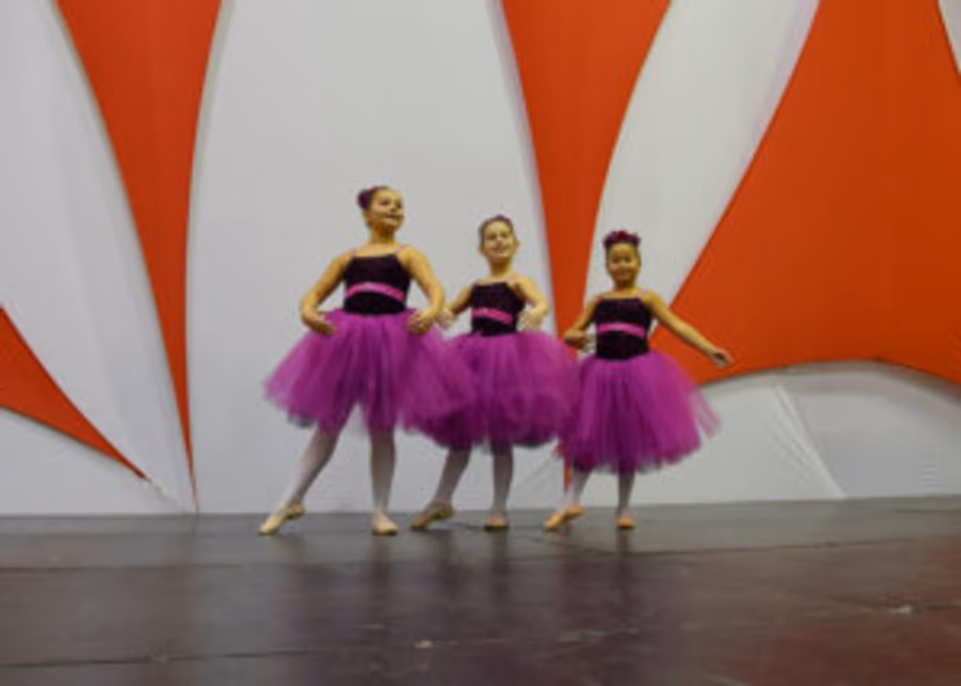 Riverside Opera Company presents A WEDDING IN SONG AND DANCE Image
