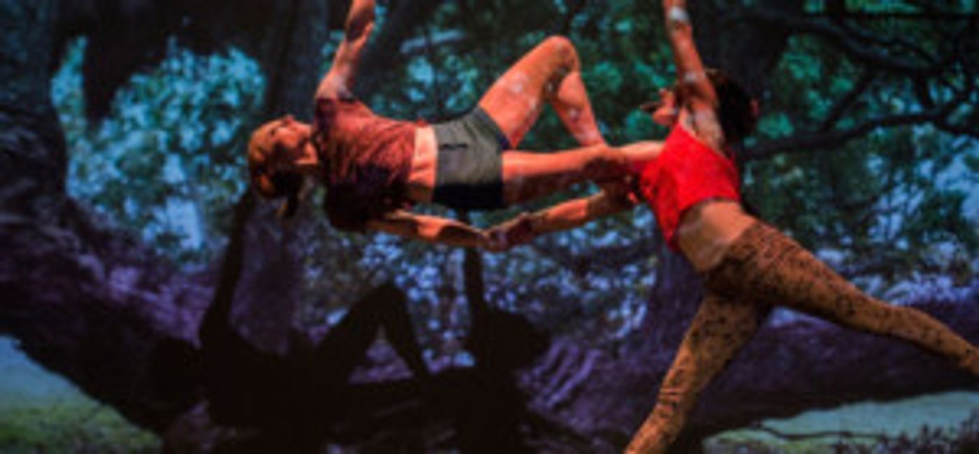 THE GOBLIN MARKET Comes to Centaur Theatre, 9/27 Image