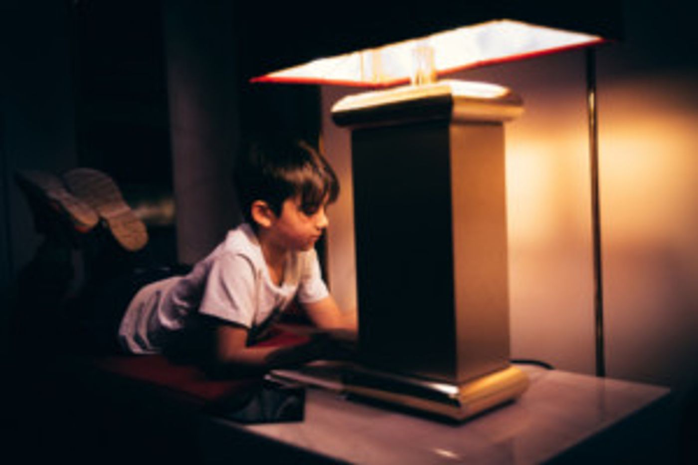 Arts Centre Melbourne Presents THE STORY OF LAMP Image