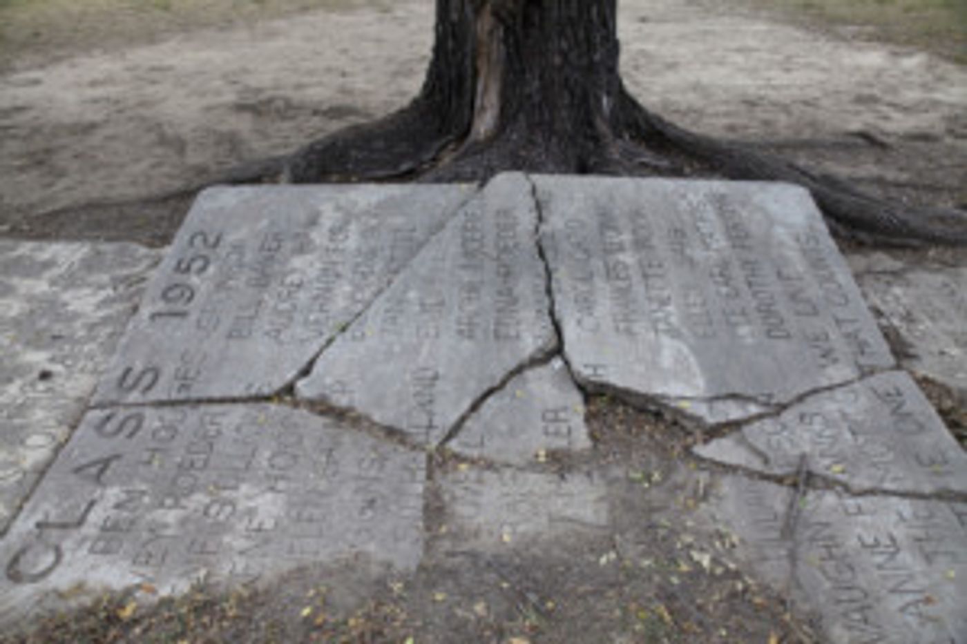 Aaron Turner Photo Exhibit to Open at MCCC's Trenton Gallery  Image