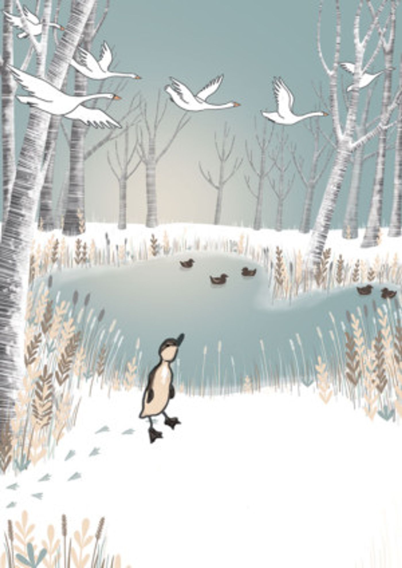 tutti frutti & York Theatre Royal Present Emma Reeves' New Adaptation of UGLY DUCKLING  Image