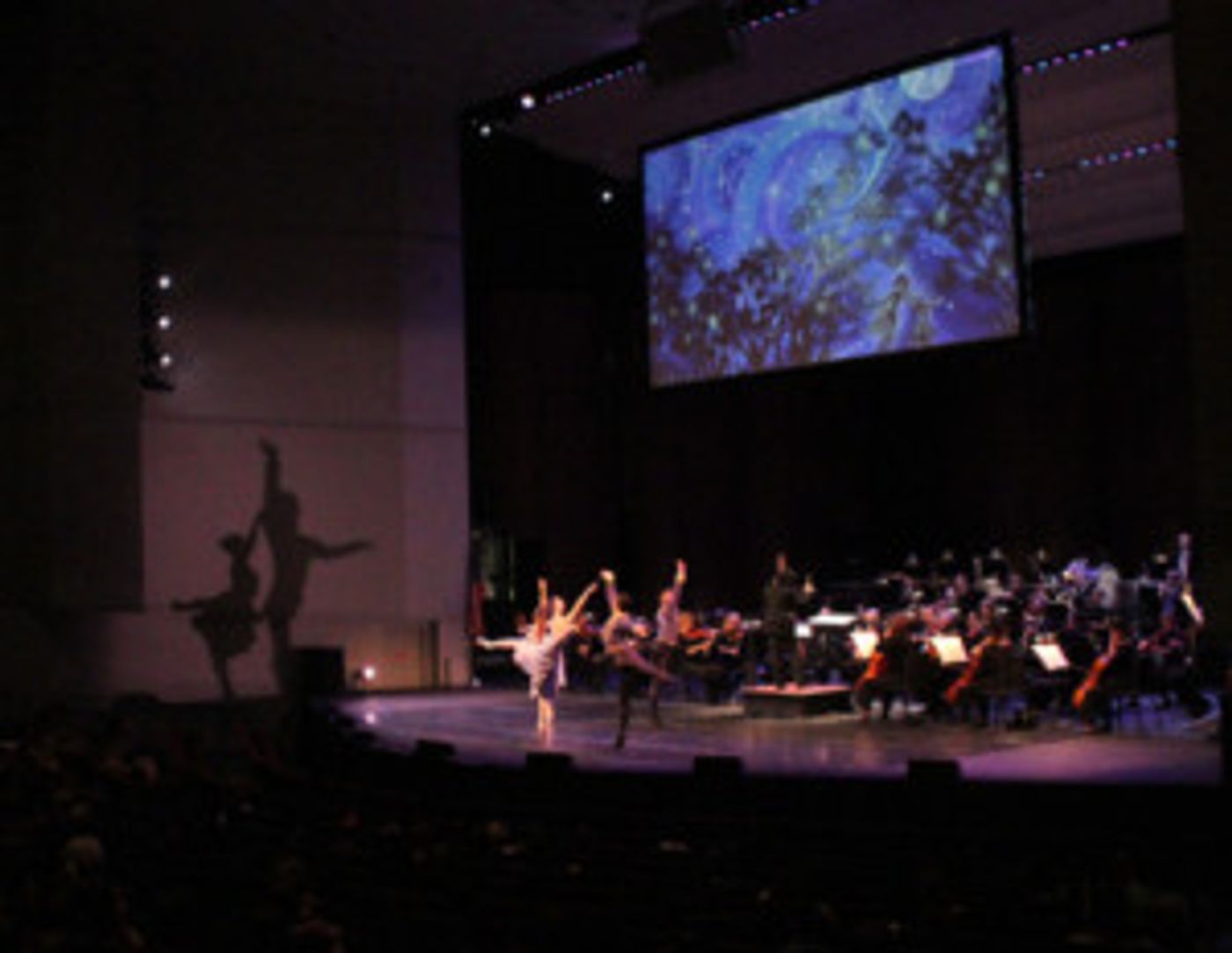 Orlando Philharmonic Orchestra's Young People's Concerts to Reach One Millionth Student  Image