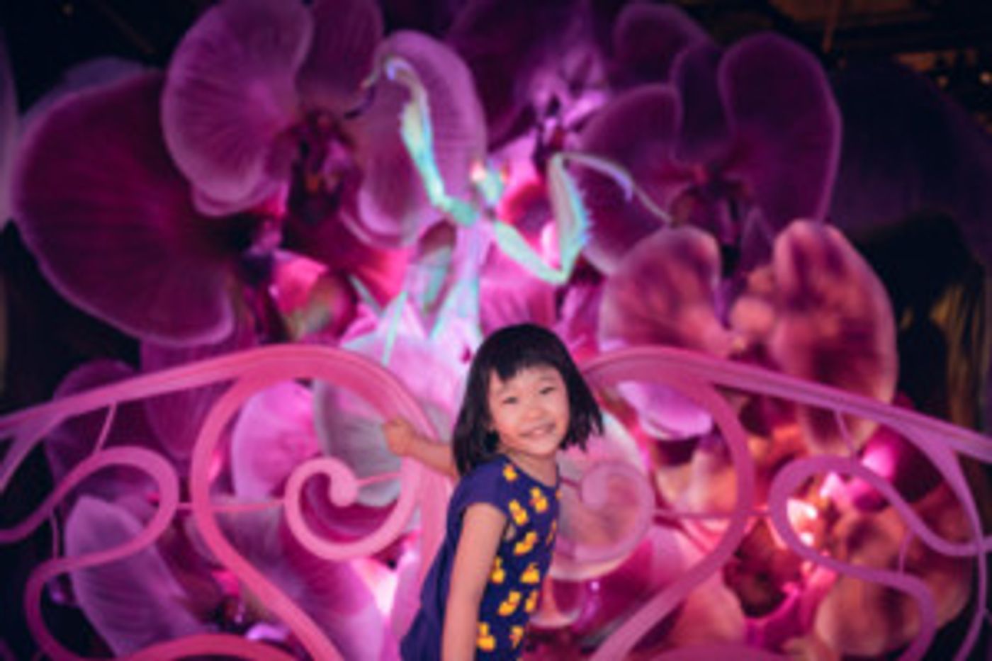 See What the Buzz is About at the Bug Lab at Melbourne Museum Image