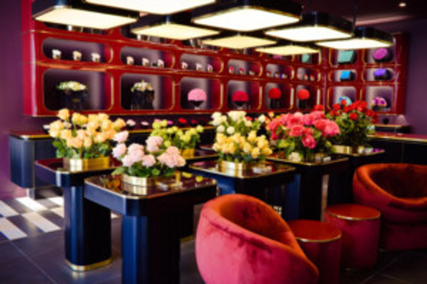 World Luxury Florist Only Roses Launches in Beverly Hills  Image