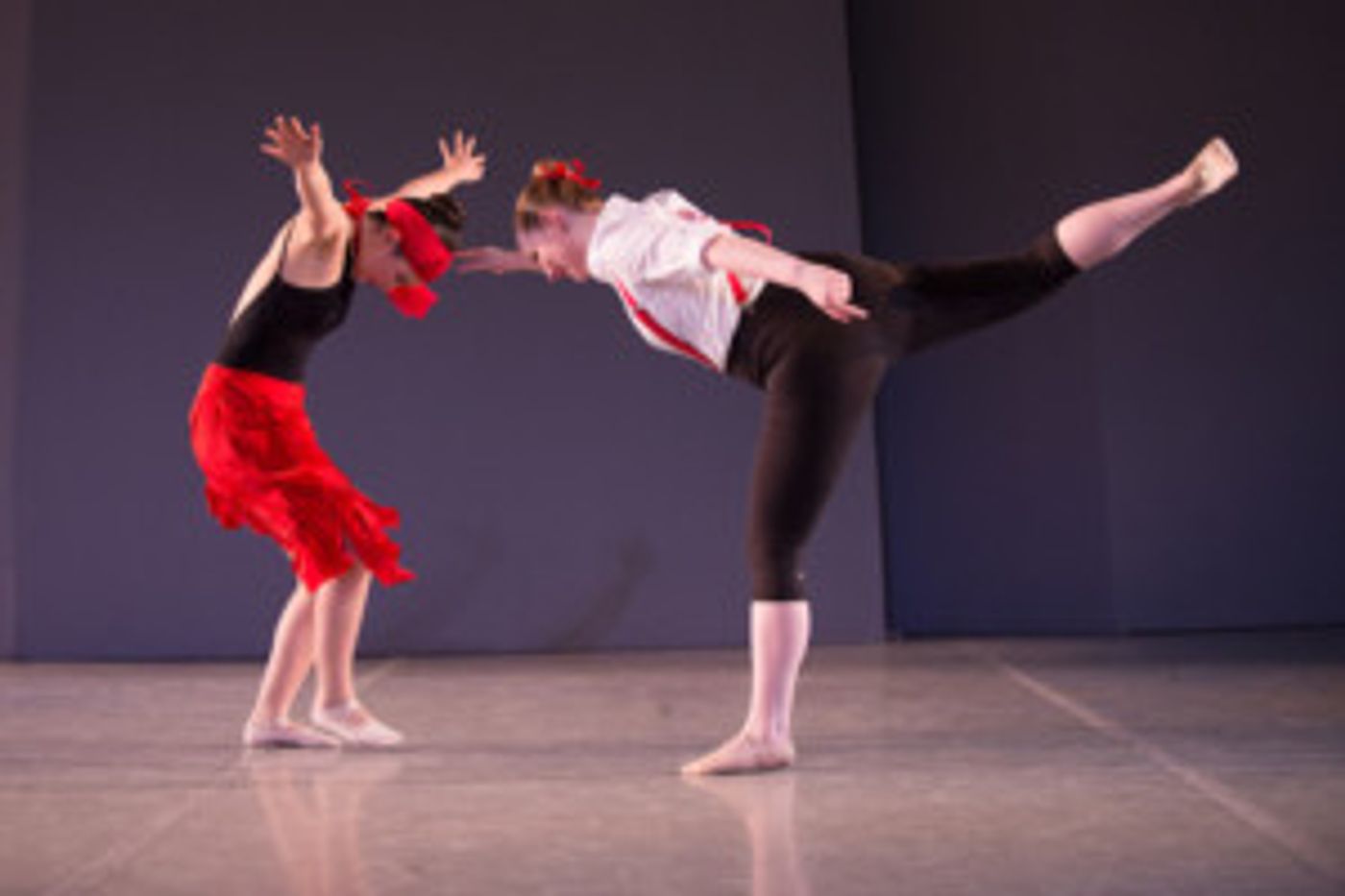 Donations and Volunteers Needed for North Shore Civic Ballet's Annual Holiday Auction Image