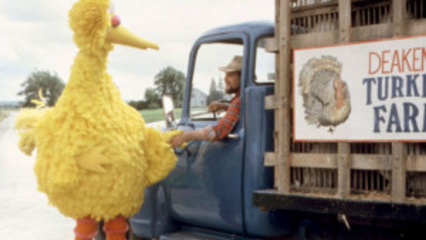 VTA's Family Flix Matinees are Back with FOLLOW THAT BIRD!  Image