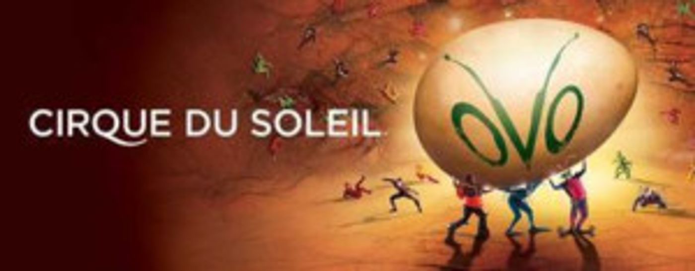 Cirque du Soleil's Egg-Inspired OVO to Fry Up Artistry in Brooklyn, Long Island  Image