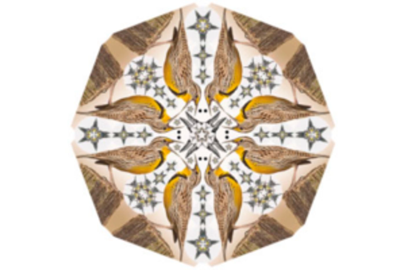 Erin Courtney's A MAP OF VIRTUE to Make West Coast Debut in November  Image