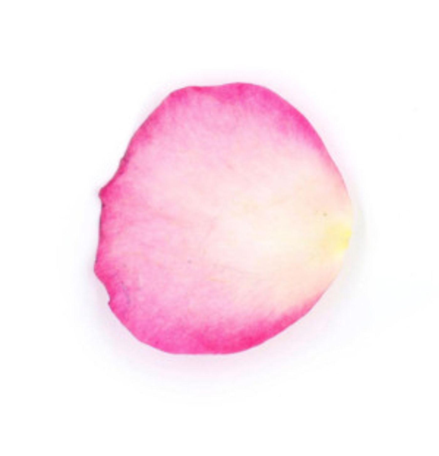 A Cavalcade of Cutting Edge Comedies Kick-Off July at Ptown's Art House  Image