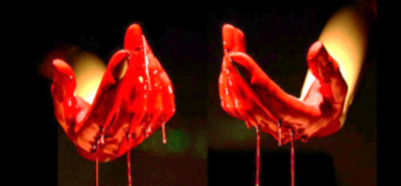 THE MYSTERY OF THE MAGIC FLUTE, A Musical for the Whole Family Coming Soon!  Image