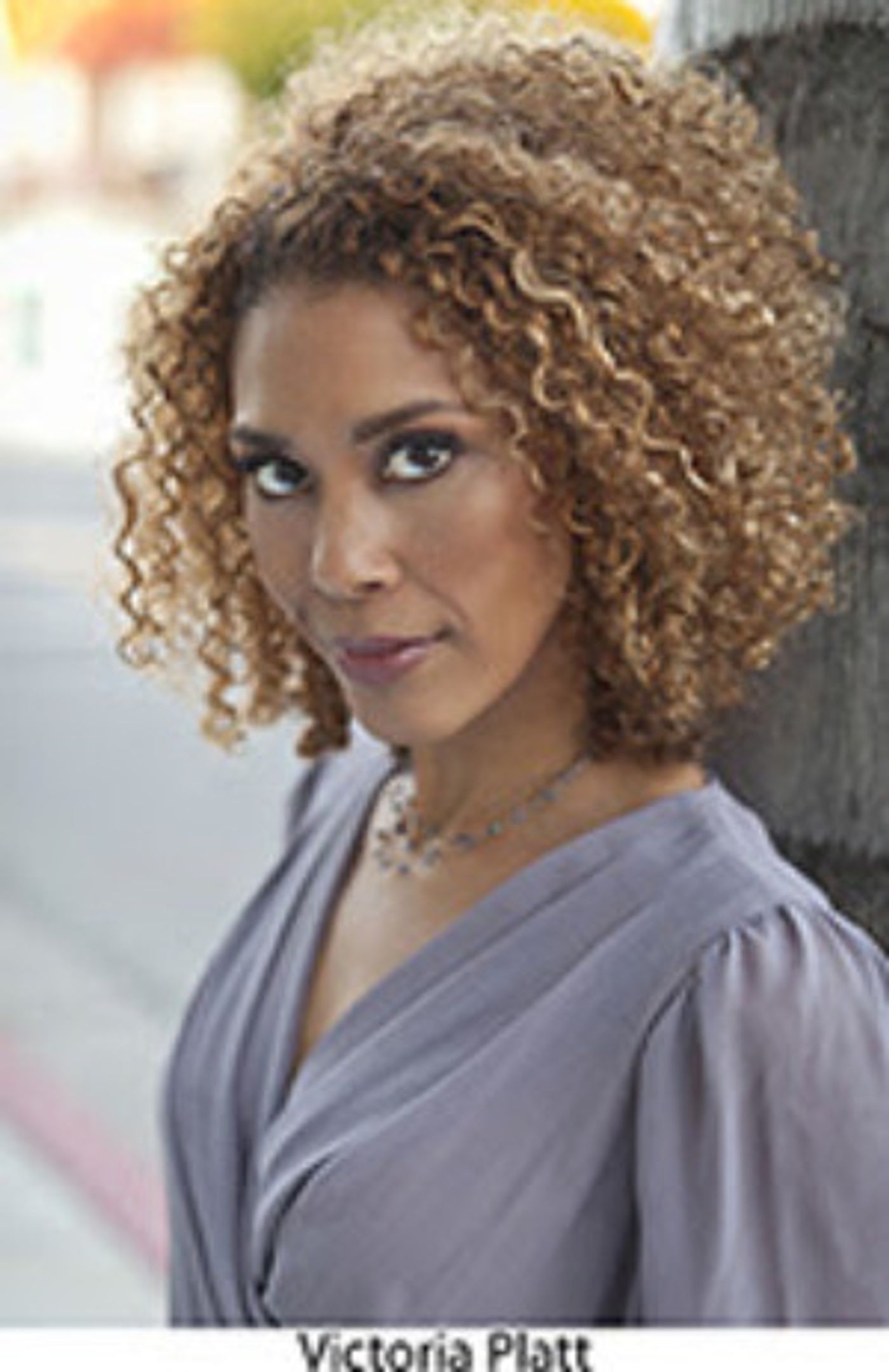 Victoria Platt Joins Cast of BUILDING THE WALL at Fountain Theatre  Image