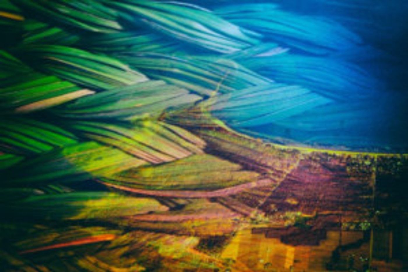 IPPERWASH Comes to the Blyth Festival  Image