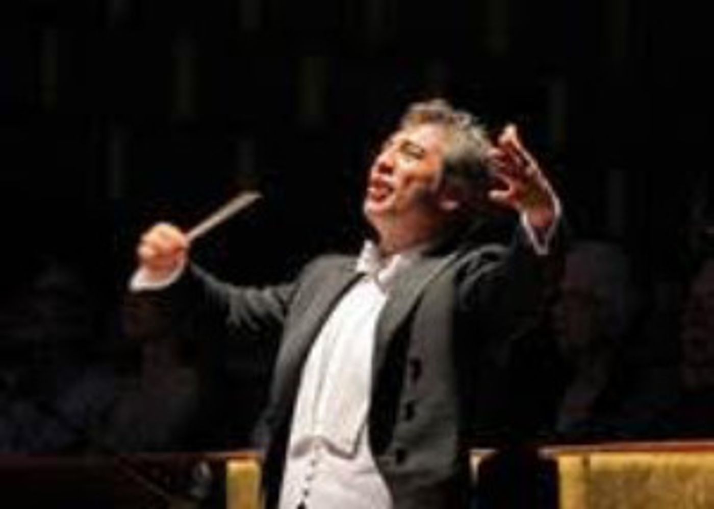 San Francisco Opera Announces Casting Update for Puccini's TURANDOT  Image