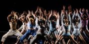 Photos: First Look at the World Premiere of BLACK SWAN at A.R.T. Photo
