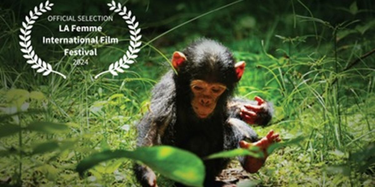 FOOLS' PARADISE (LOST?) to Screen At 20TH LA Femme International Film Festival