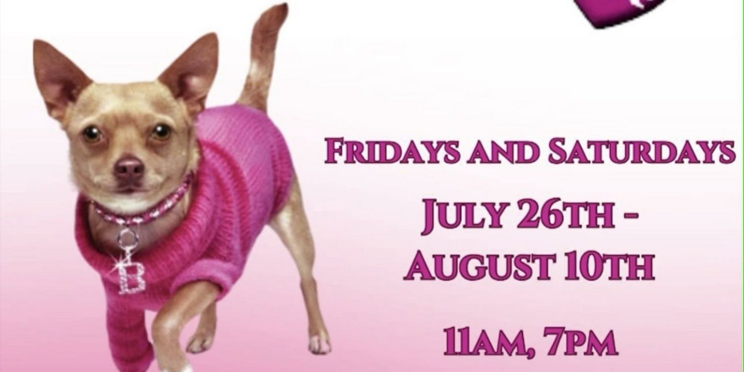 LEGALLY BLONDE JUNIOR to be Presented at the Shawnee Playhouse  Image