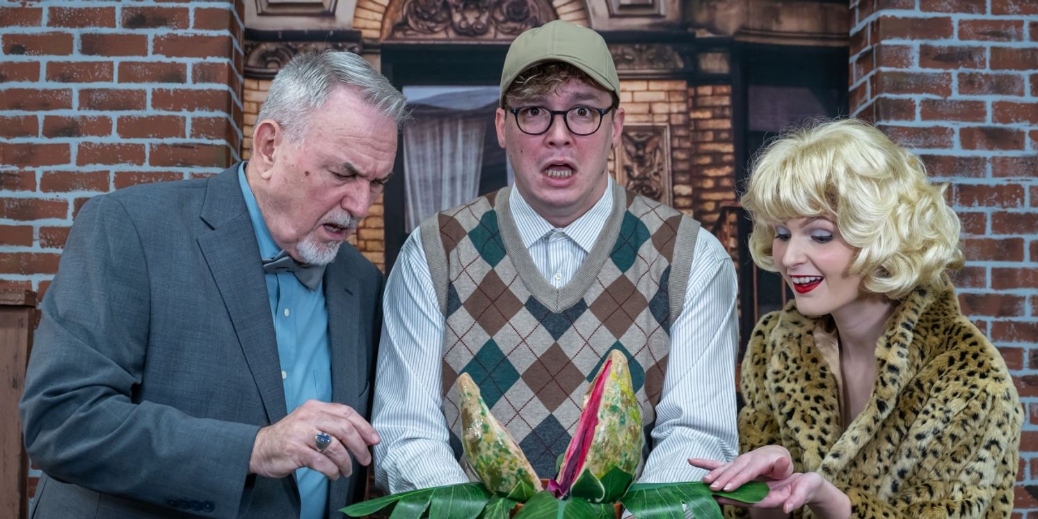 LITTLE SHOP OF HORRORS Announced At The Little Theatre of New Smyrna Beach  Image
