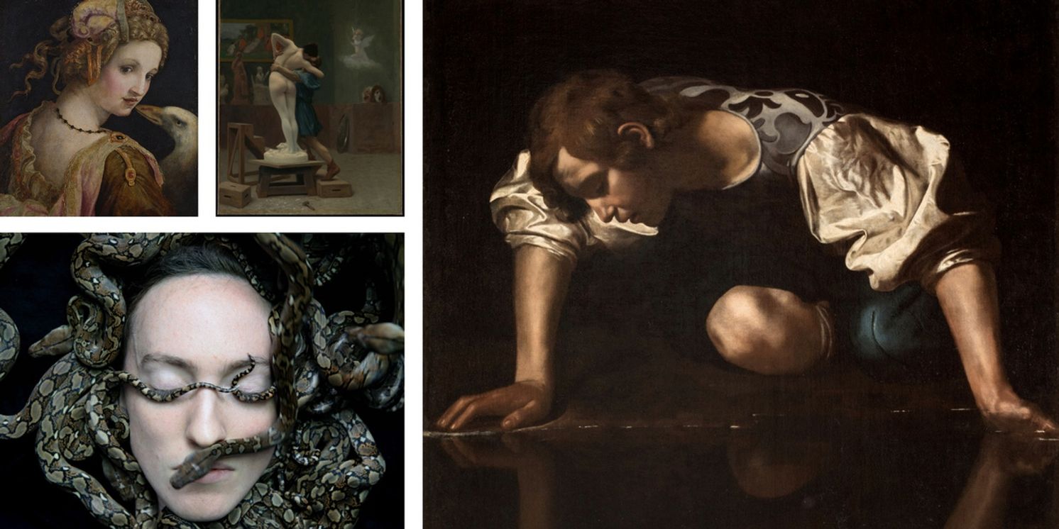 Metamorphoses Exhibition: A Journey at the Rijksmuseum  Image
