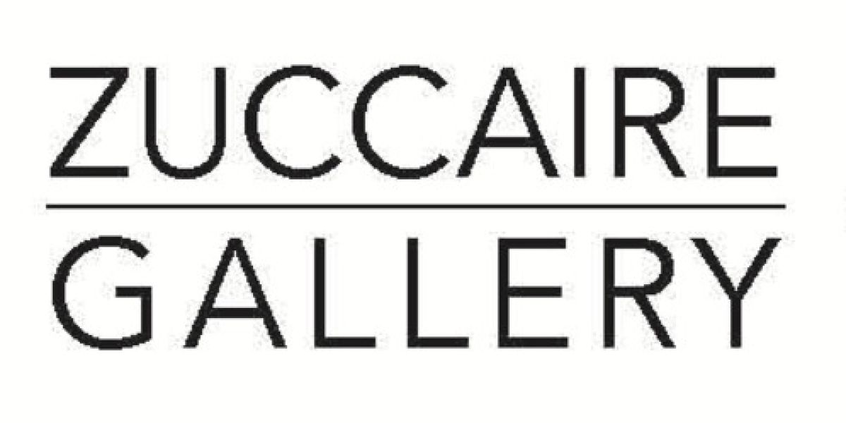 Stony Brook University's Zuccaire Gallery Presents A Solo Exhibition By Video Artist Nicole Cohen