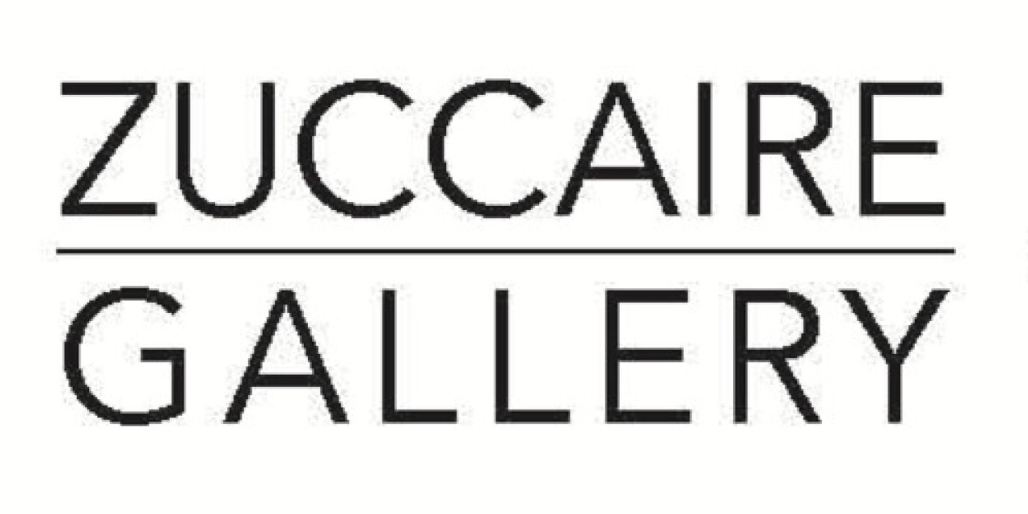 Stony Brook University's Zuccaire Gallery Presents A Solo Exhibition By Video Artist Nicole Cohen  Image