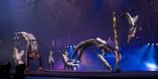 'TWAS THE NIGHT BEFORE… Will Come to the Barbara B. Mann Performing Arts Hall in Novembe Photo