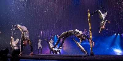 'TWAS THE NIGHT BEFORE… Will Come to the Barbara B. Mann Performing Arts Hall in Novembe Photo