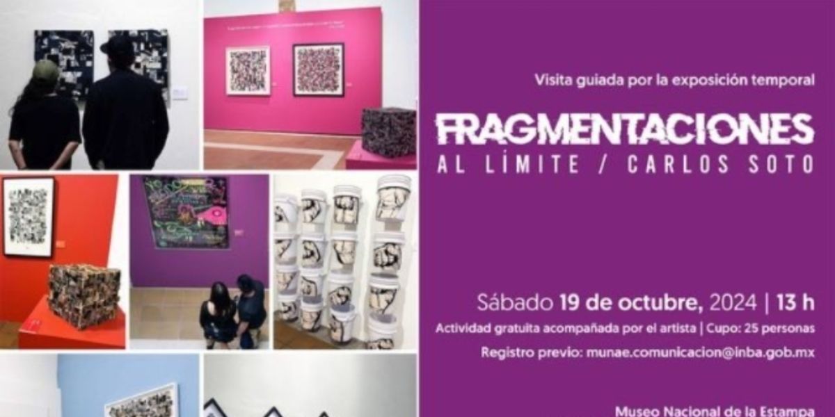Últimos Días Para Ver Las Exposiciones De Carlos Soto Y Sebastian Fund En El Museo Nacional De La Estampa
