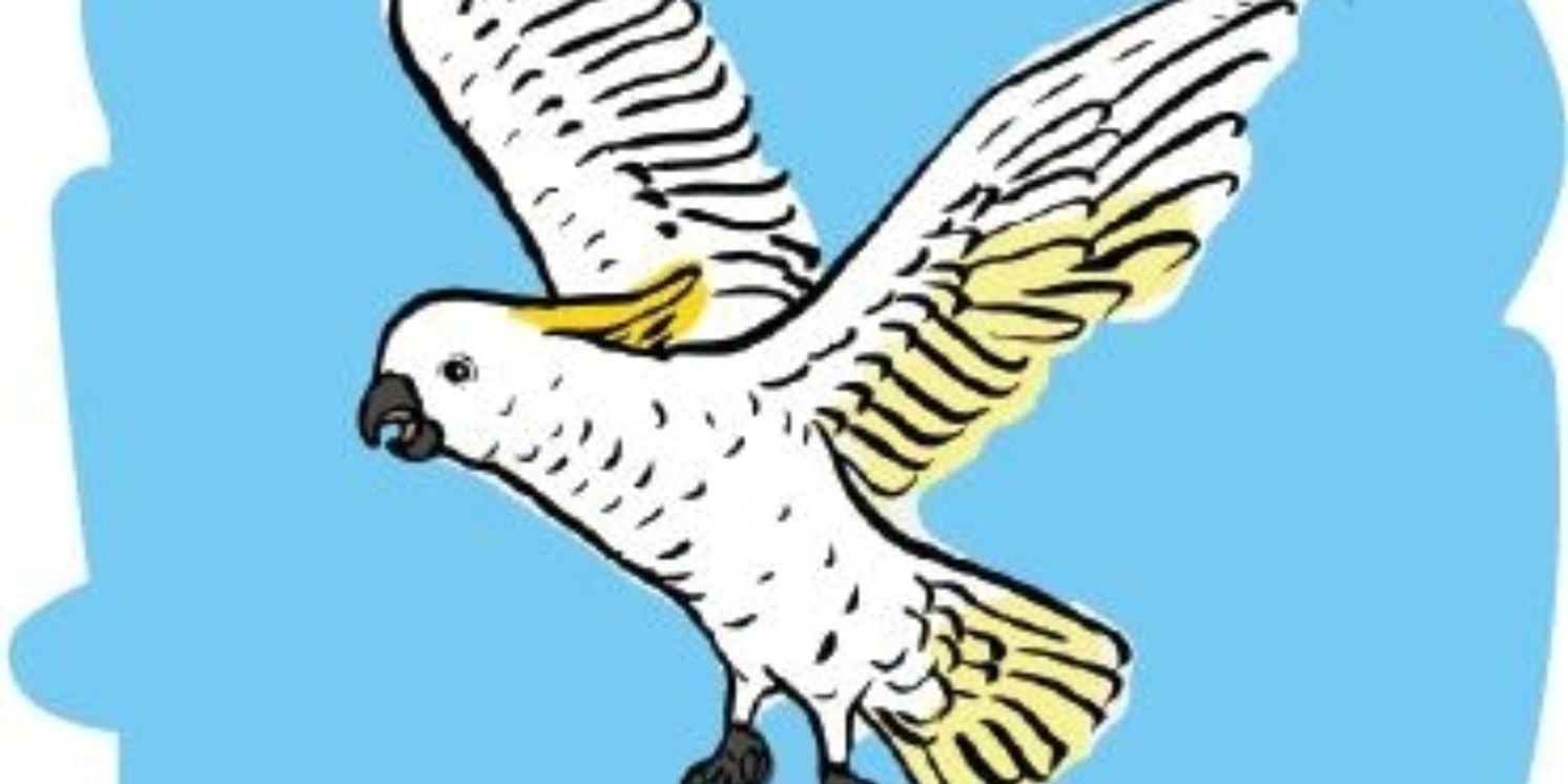 1 HOUR OF INSANE MAGIC to Return to Adelaide Fringe in 2026  Image