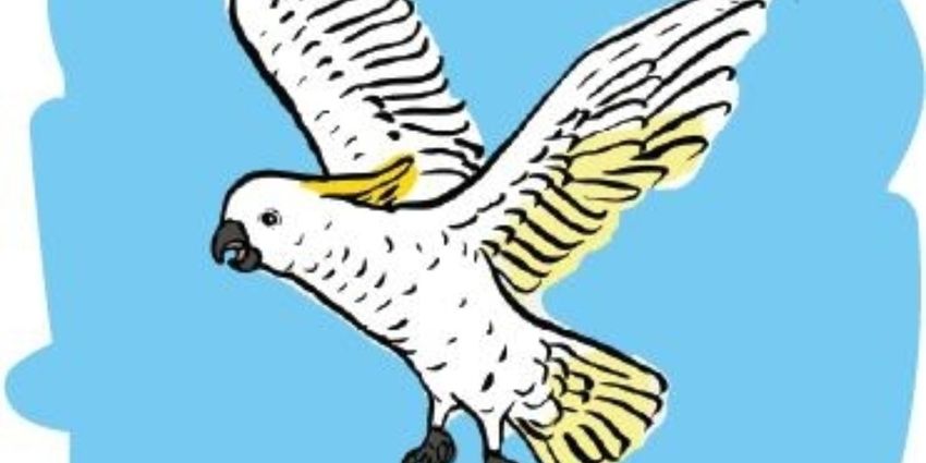 1 HOUR OF INSANE MAGIC to Return to Adelaide Fringe in 2026 Photo