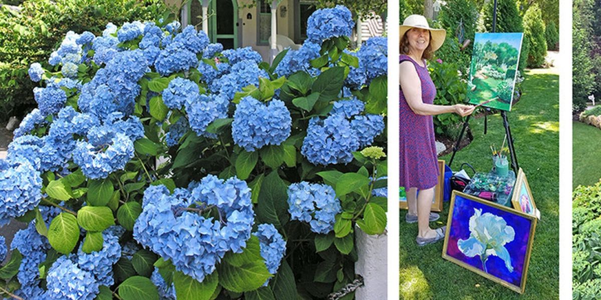 10th Annual Cape Cod Hydrangea Festival Returns Next Month