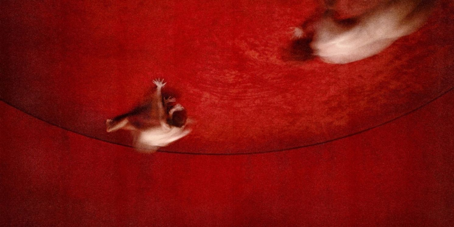 Lykke Li to Present Immersive Installation for The Broad with Exclusive Performance on Opening Night  Image