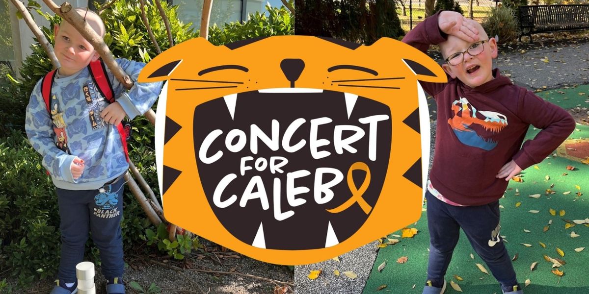 Rob McClure, Maggie Lakis & More to Perform at CONCERT FOR CALEB Benefit