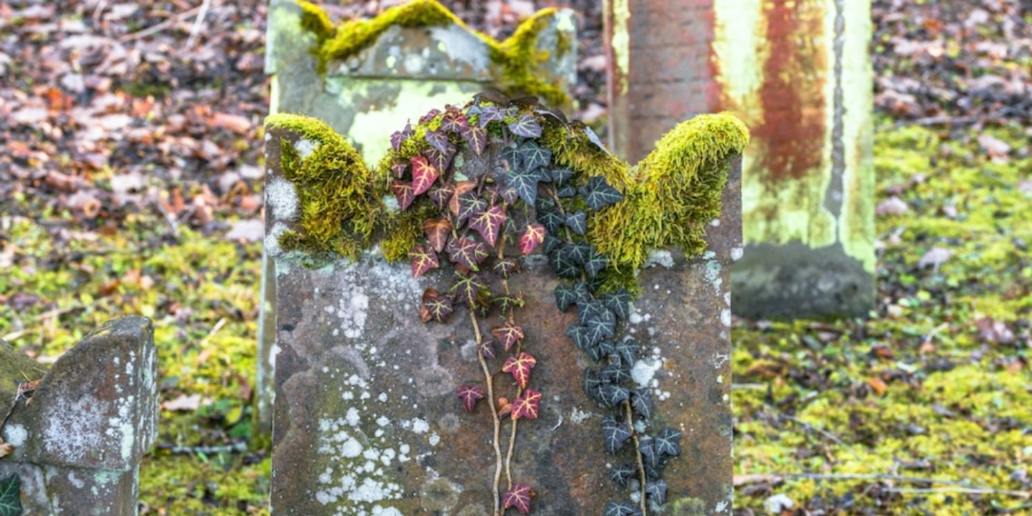 Open-Door Playhouse to Present FLESH AND BLOOD in March  Image