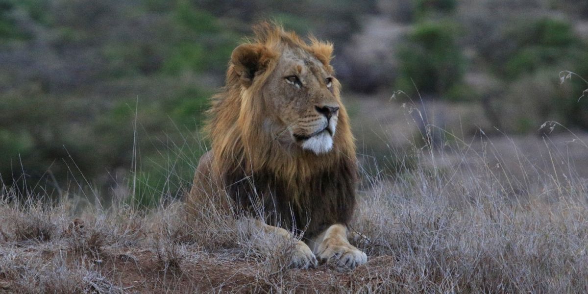 Natural History Series CHASING THE RAINS Premieres on BBC America and AMC+ on Earth Day