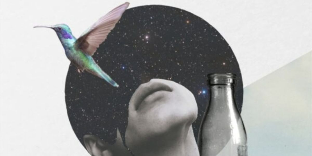 Review: HUMMINGBIRD, VAULT Festival