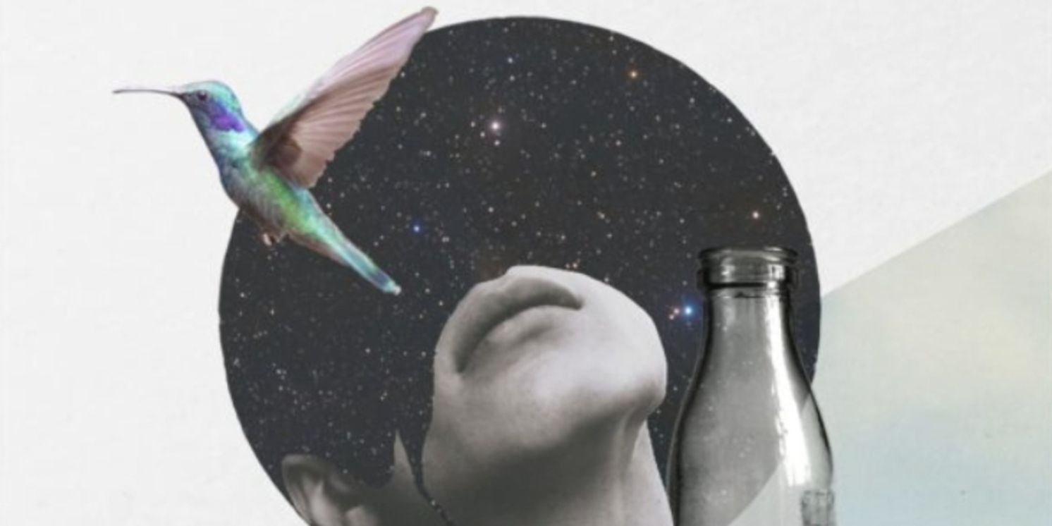 Review: HUMMINGBIRD, VAULT Festival  Image