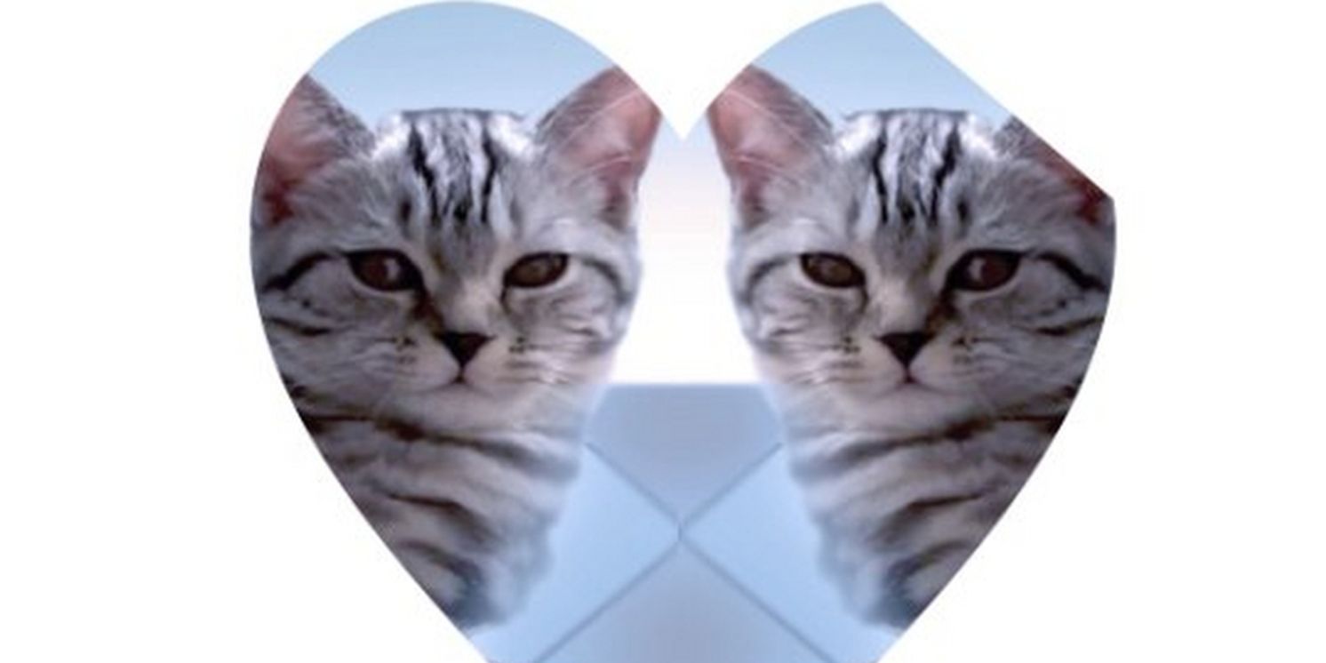 Performance Space New York to Present I WANNA BE WITH YOU EVERYWHERE, Envisioned by and for Disability Communities  Image