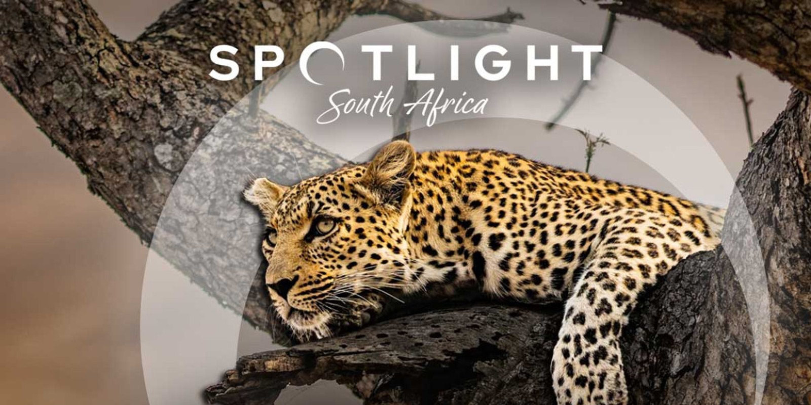 Spotlight: Lea Salonga & Alfie Boe Are Going on Safari - You're Invited in Los Angele