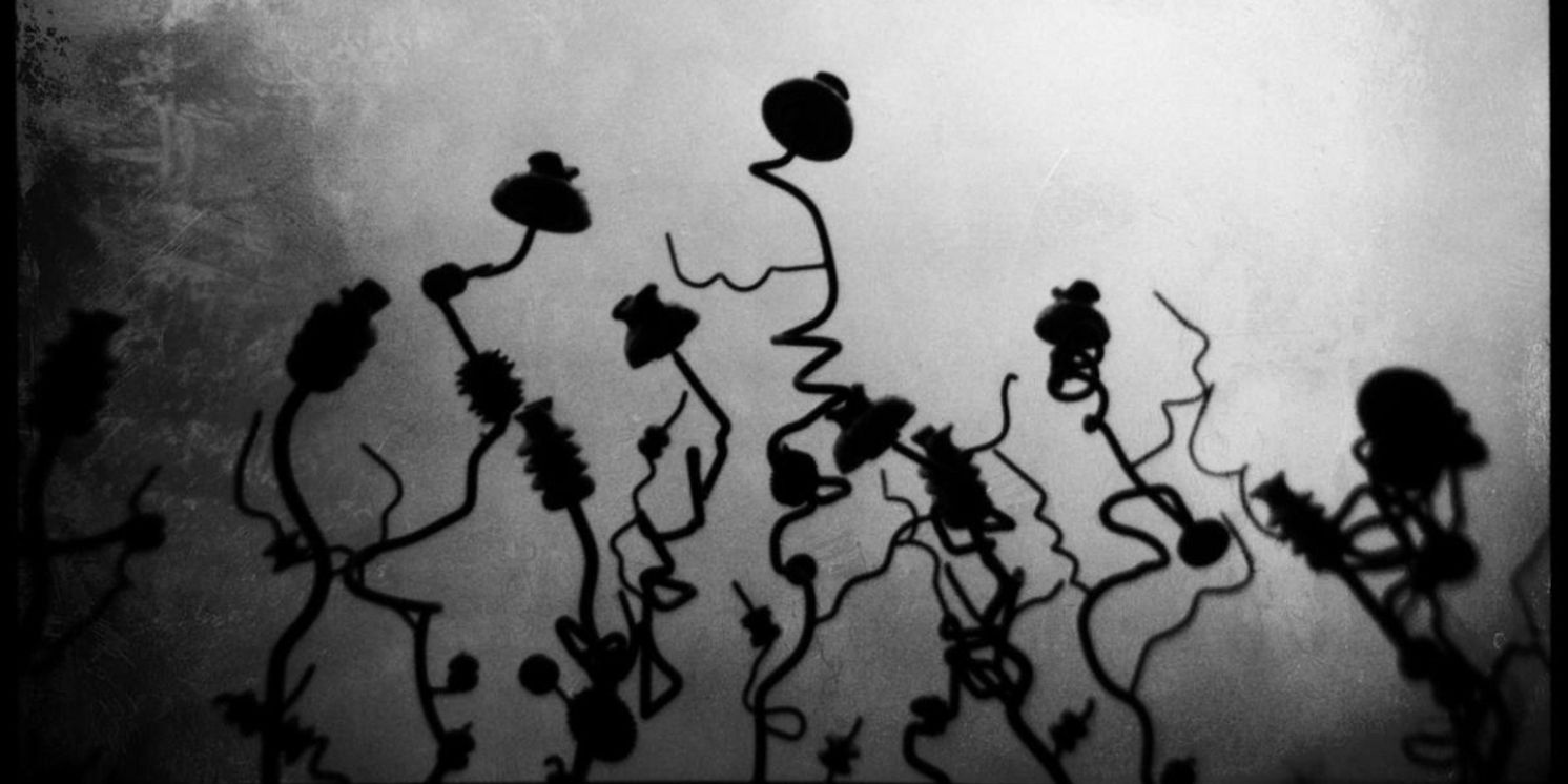 Page McConnell & Trey Anastasio to Release New Album This Friday  Image