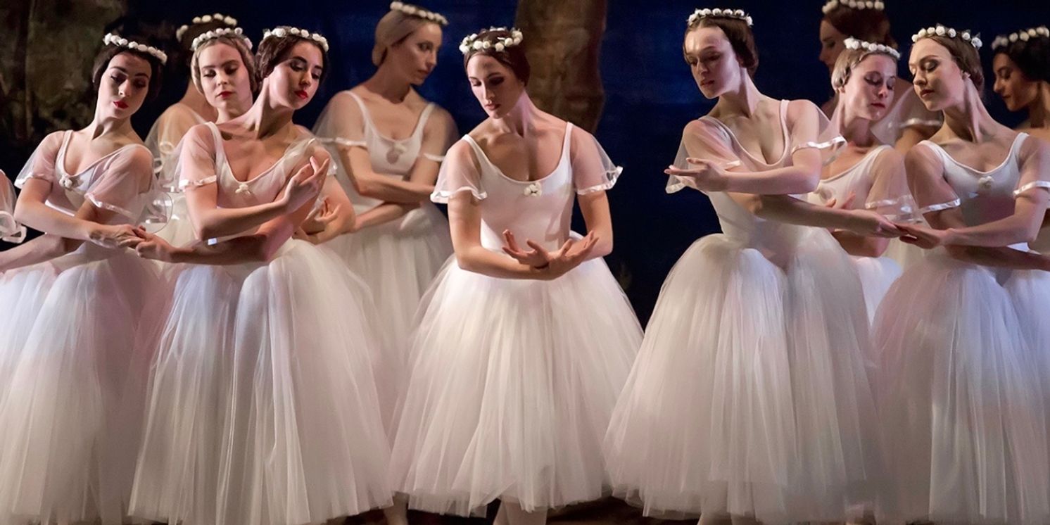 Review: SUMMERSNOW at Maynardville Open-Air Festival Delights and Entrances  Image