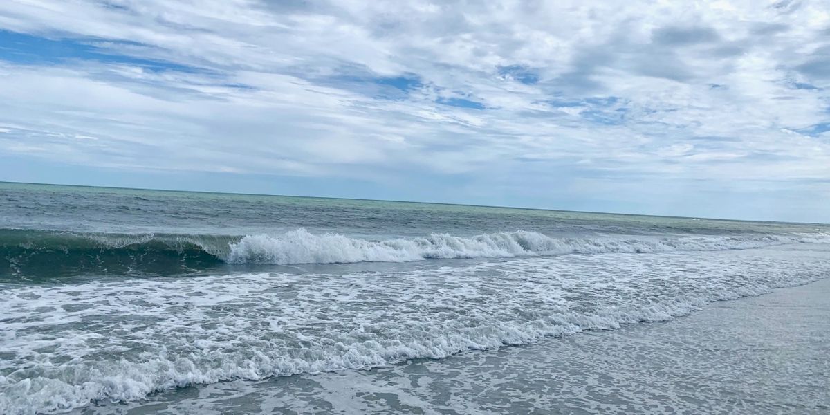 Student Blog: A Summer of Balance